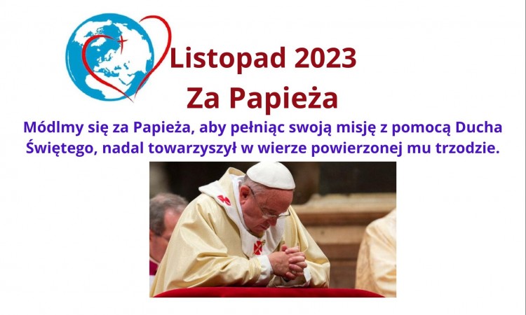 RÓŻE RÓZAŃCOWE