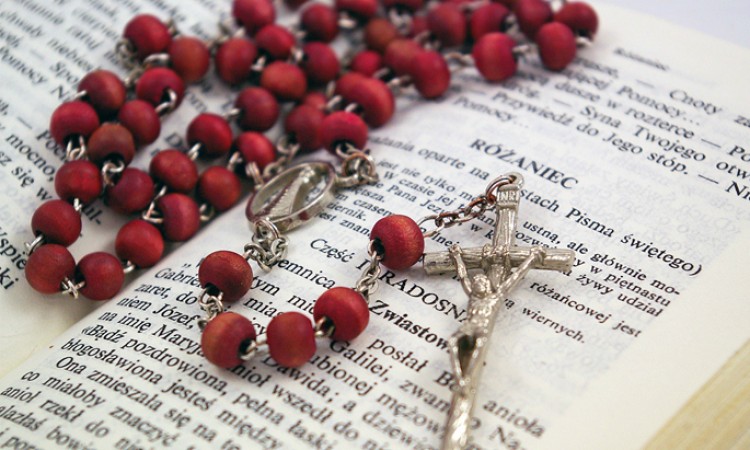 RÓŻE RÓŻAŃCOWE - OGŁOSZENIE